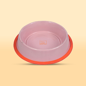 bowl orange